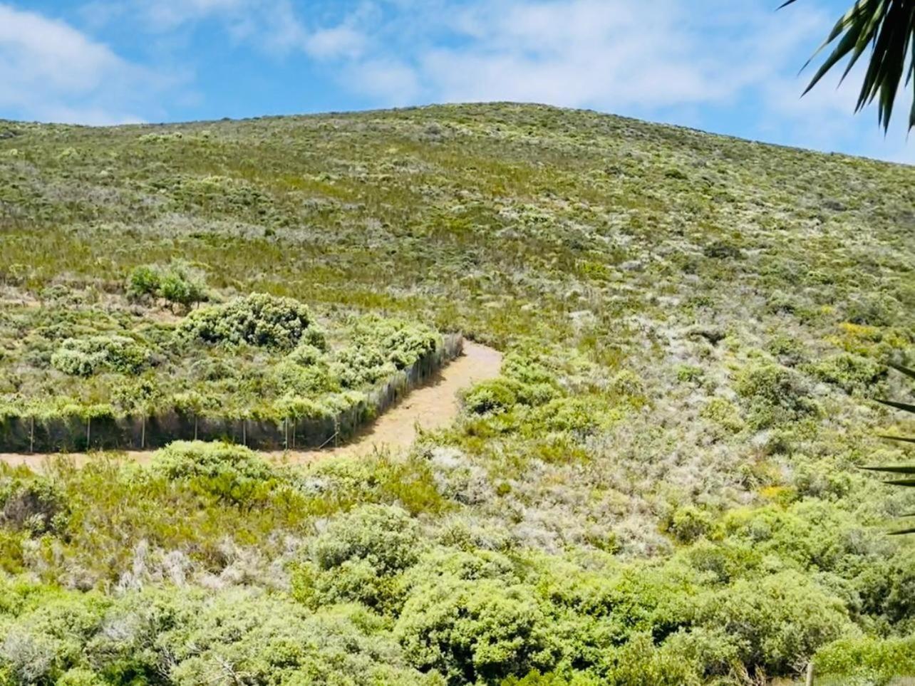 Hotel Vibes Cape Town Plattekloof Bilik gambar
